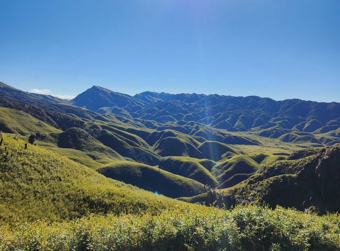 The Science-Backed Benefits of Trekking