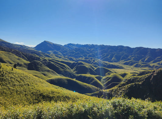 The Science-Backed Benefits of Trekking