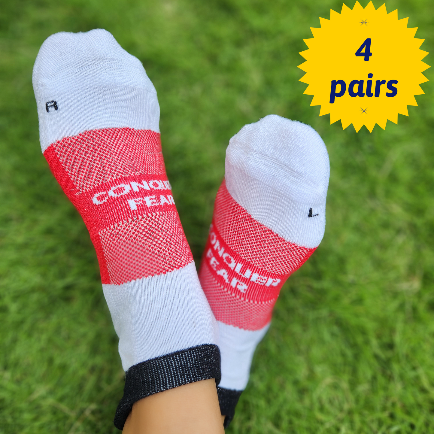 Cushioned Bamboo Socks (4 PAIRS) | Scarlet Snowfall
